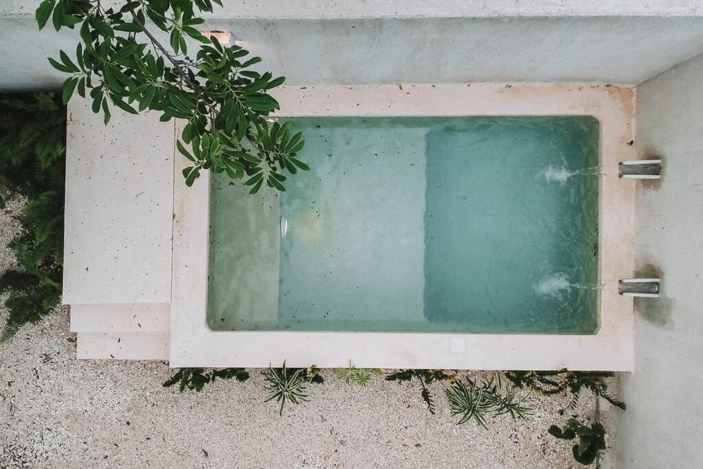 La Sultana Amazing New House With Pool